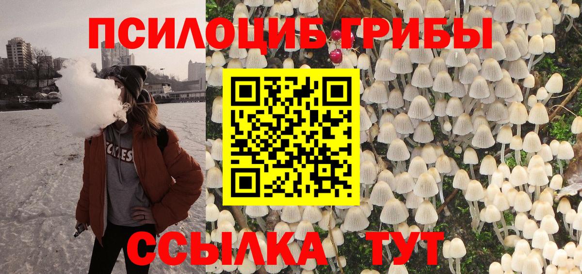 Псилоцибиновые грибы Magic Shrooms  Галлюциногенные грибы Psilocybe  Вход с VPN  Отрадное 