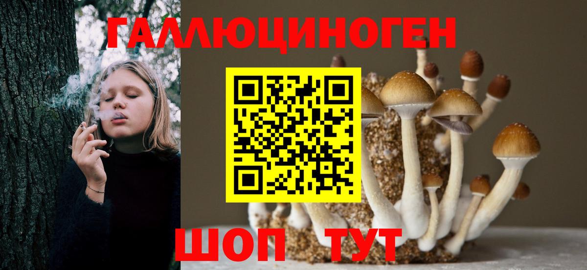 Псилоцибиновые грибы мухоморы Отрадное