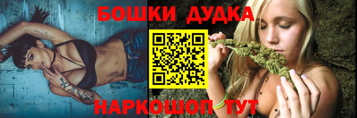 Каннабис планчик Отрадное